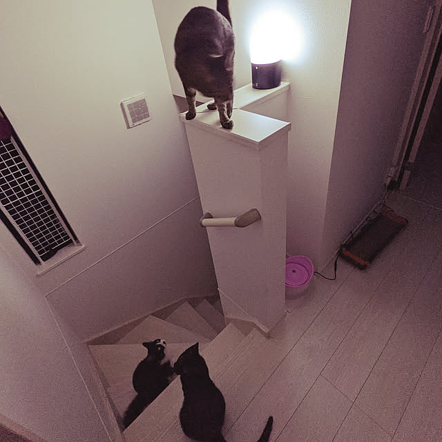 Mihoさんの実例写真