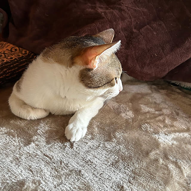 pontaさんの実例写真