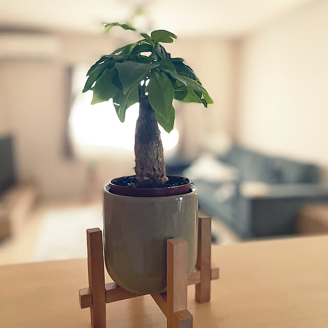 ruruさんの部屋