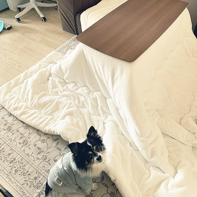 chikoさんの実例写真
