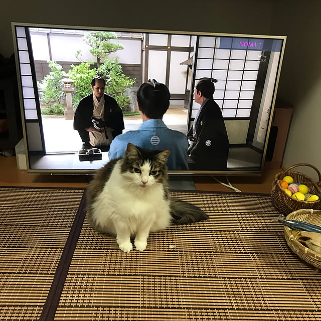 実例写真