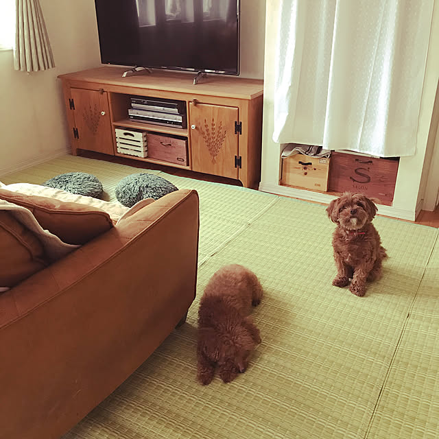 RUBYさんの実例写真