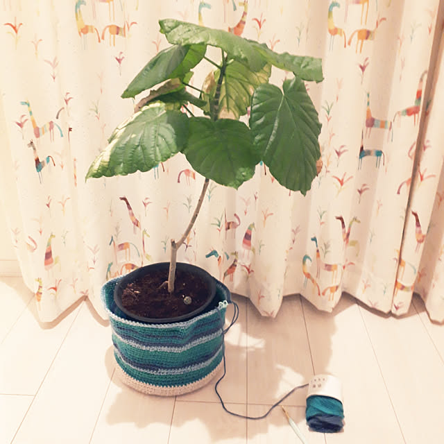 m.coccoさんの実例写真