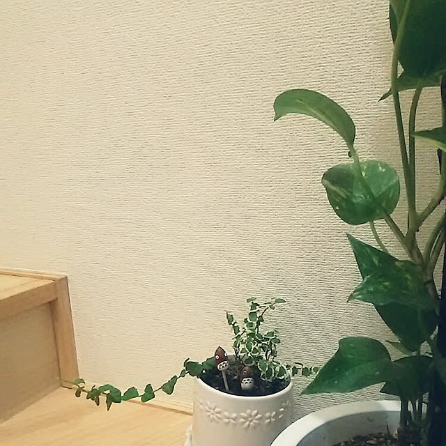 mmpoohさんの実例写真