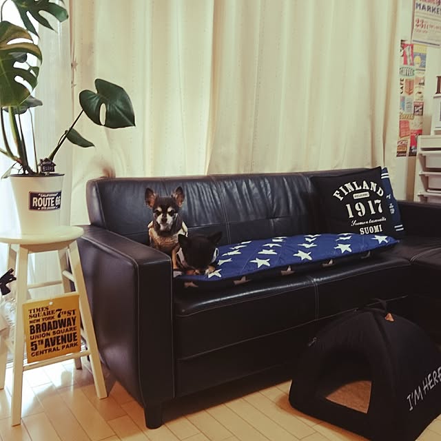lovepeaceさんの実例写真