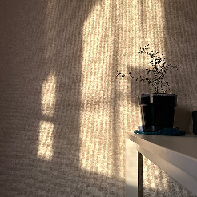 ruuuさんの実例写真