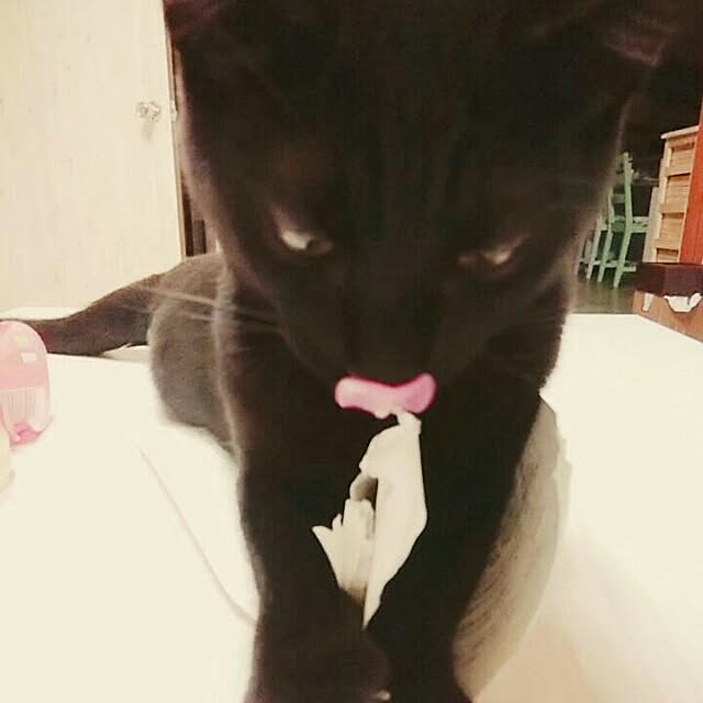 taleo07さんの実例写真