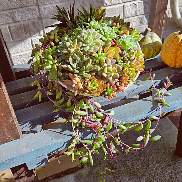 mocomocoさんの部屋