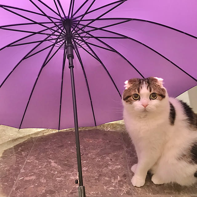 eripontaさんの実例写真