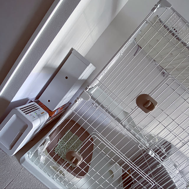 pigukoさんの実例写真