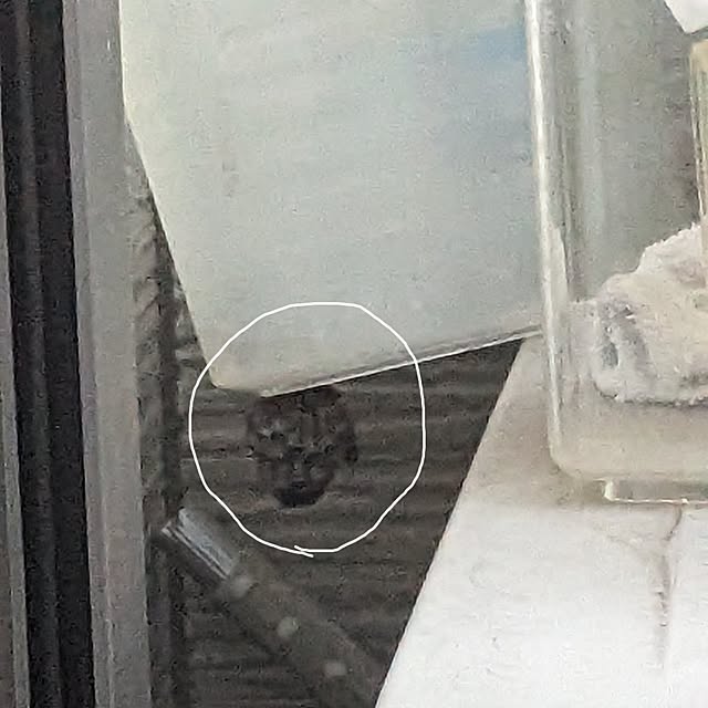 junさんの部屋