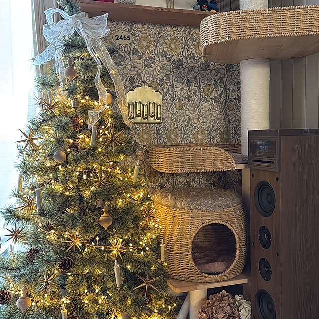 kokkomachaさんの部屋