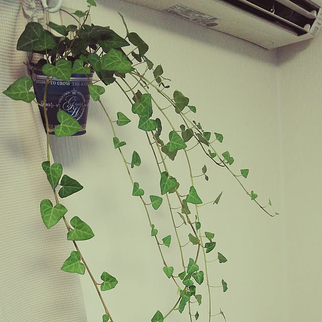 OTUKISAMA.KONBANWAさんの実例写真