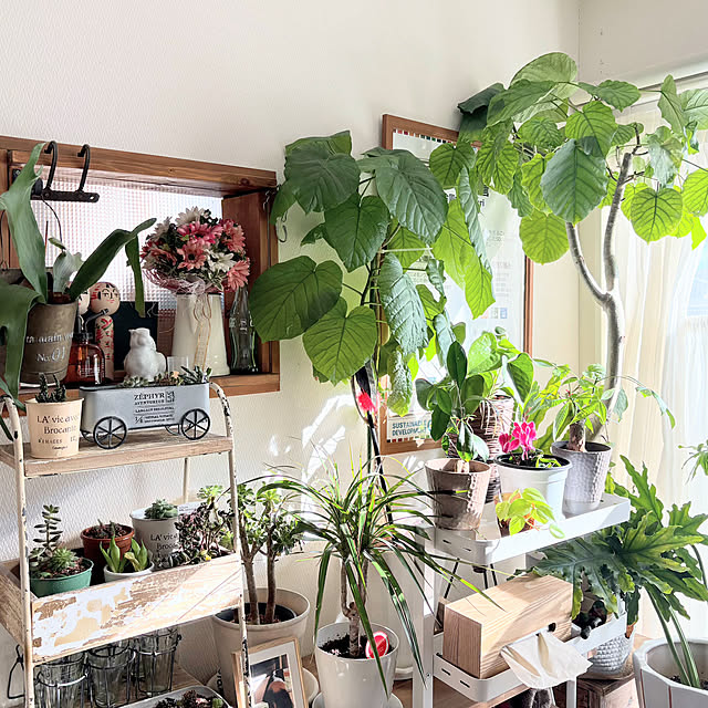 hirariさんの実例写真