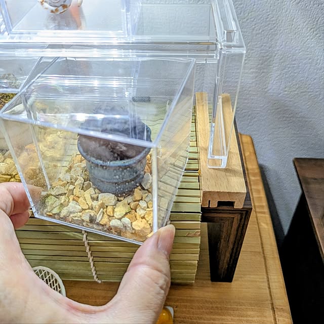 mi-saさんの部屋