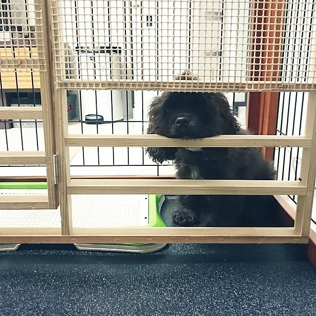 Saorinさんの実例写真
