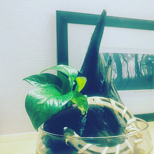 kanaemiさんの実例写真