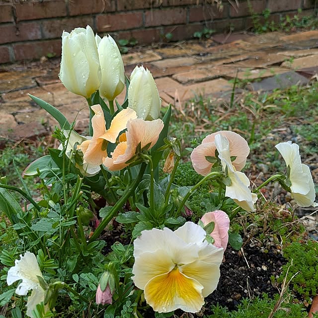 Rさんの実例写真