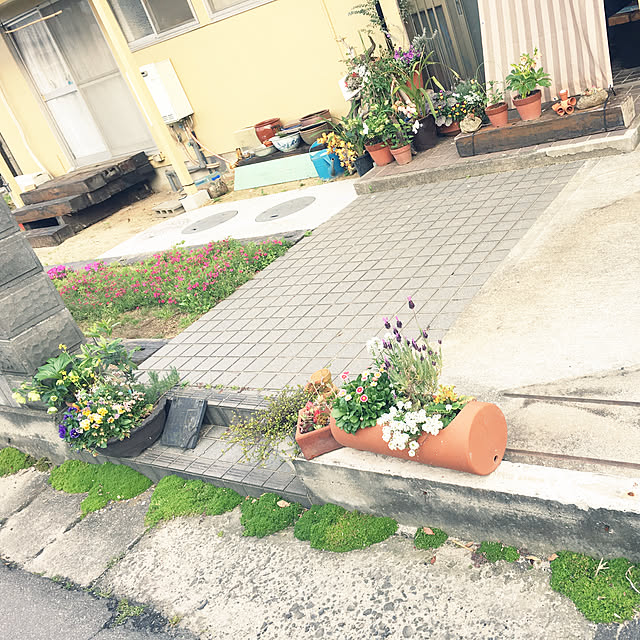 utsukushinosatoさんの実例写真