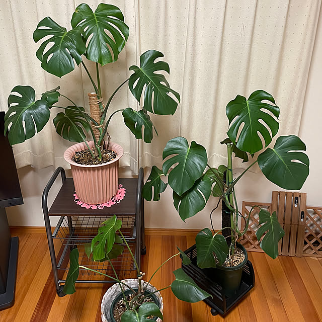 kakoさんの部屋