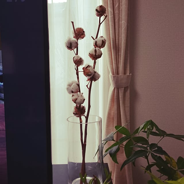 fuutanさんの実例写真