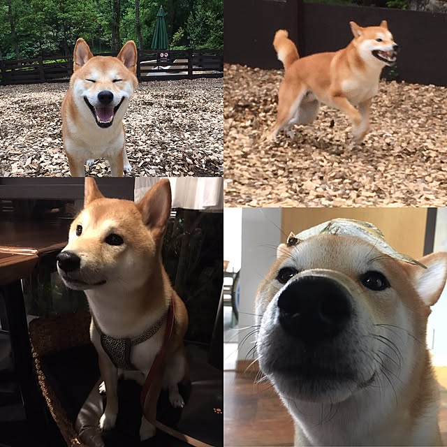 diez_taraさんの実例写真