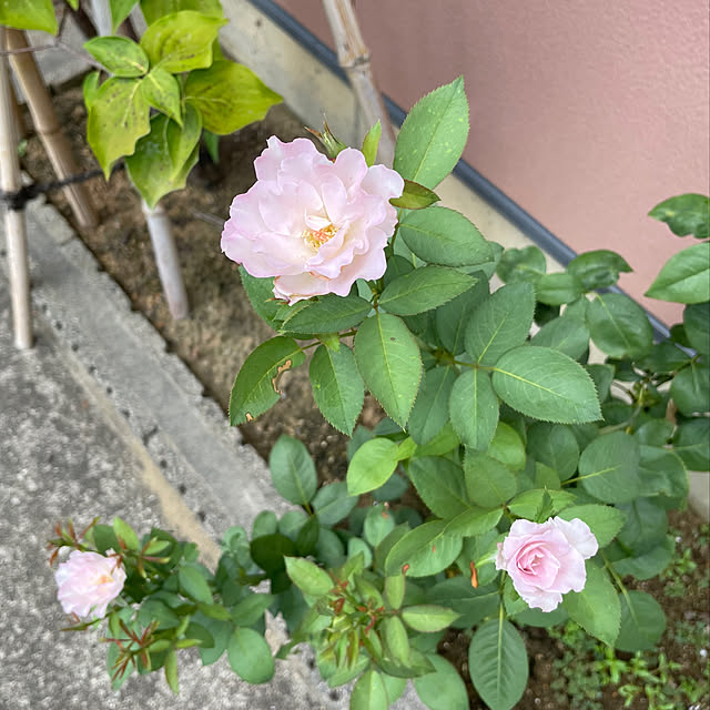 kakoさんの部屋