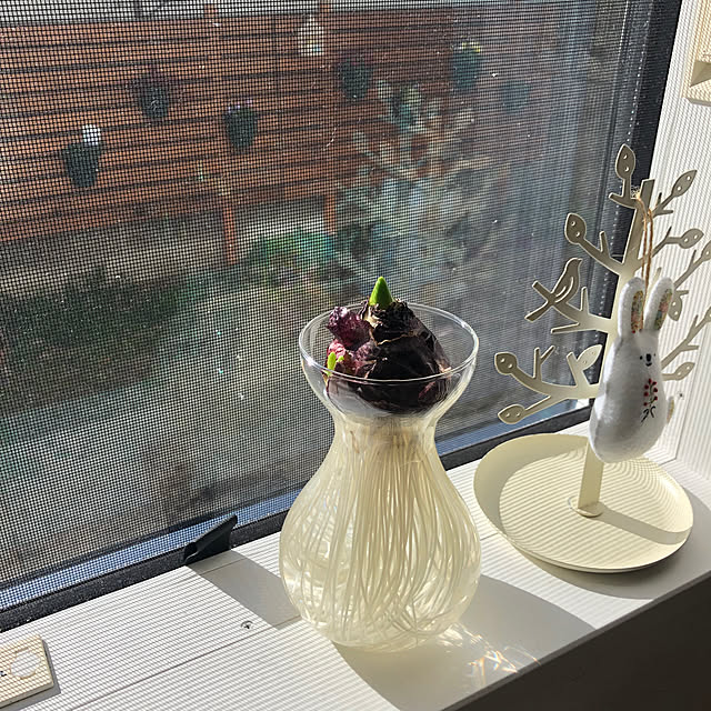 kaorikoさんの実例写真