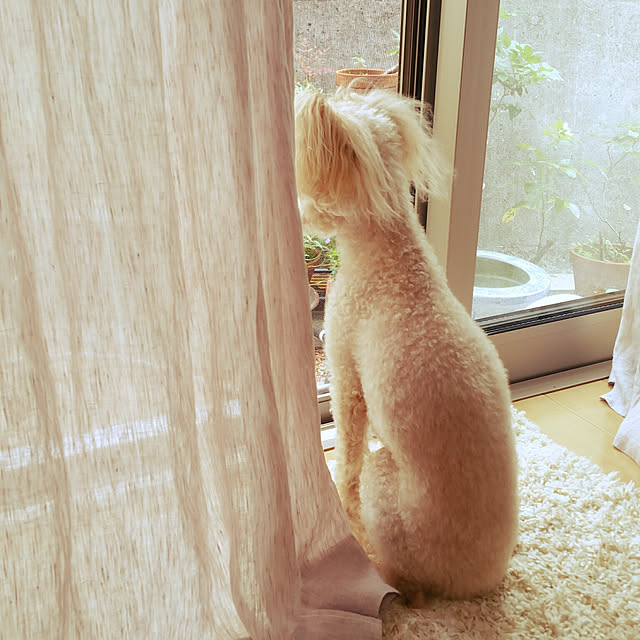 katuminaloveさんの実例写真