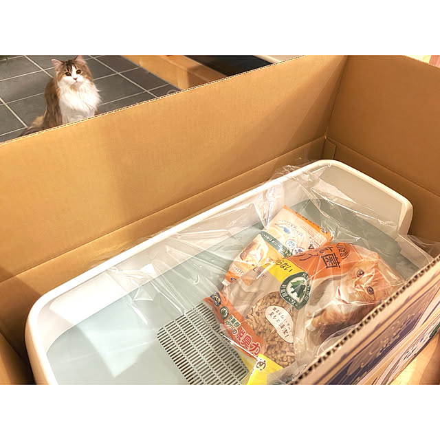 darakoさんの部屋