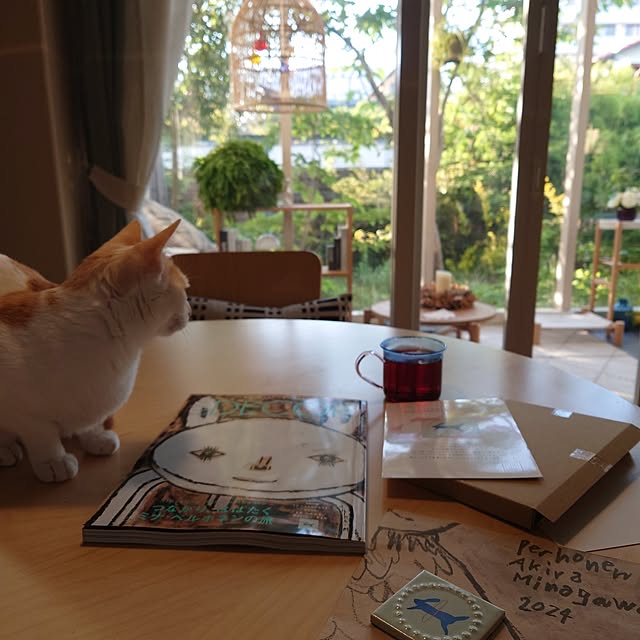 asmaさんの部屋