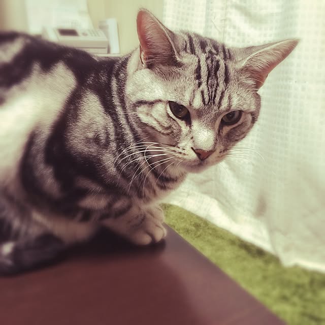 hiro_mashさんの実例写真