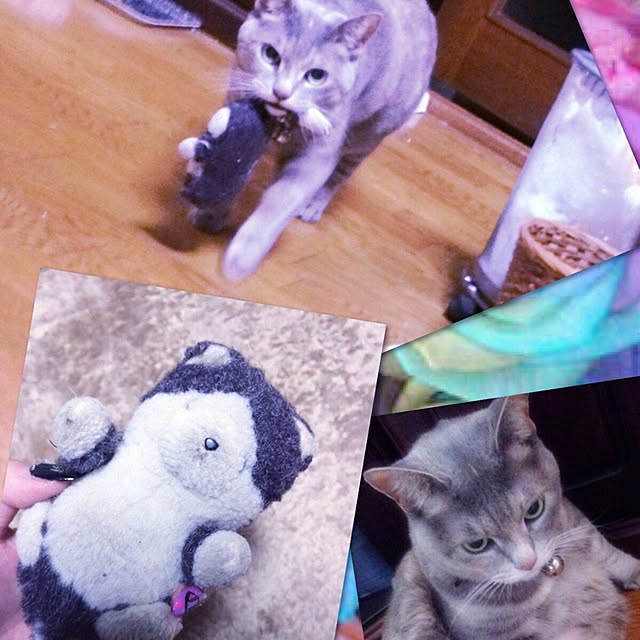 LIO_27さんの実例写真