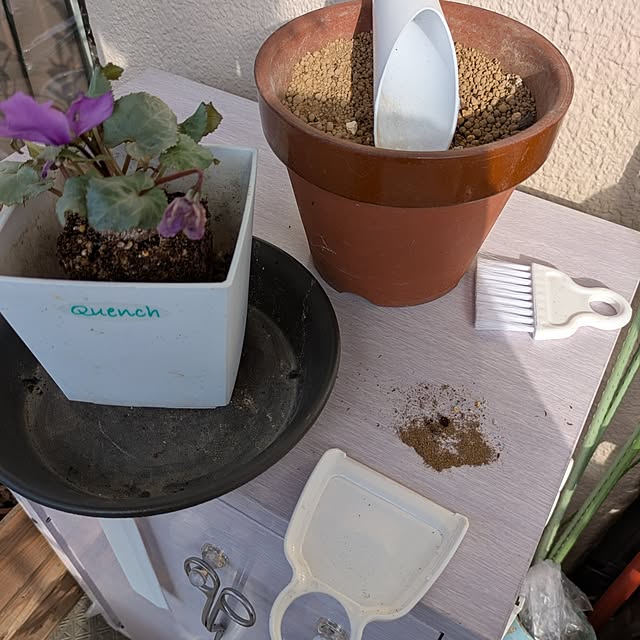 mi-saさんの部屋