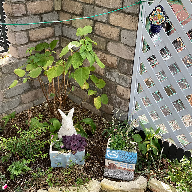 junjunさんの実例写真