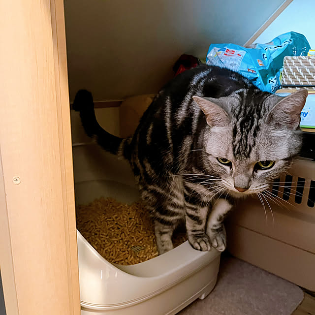yuccoさんの部屋