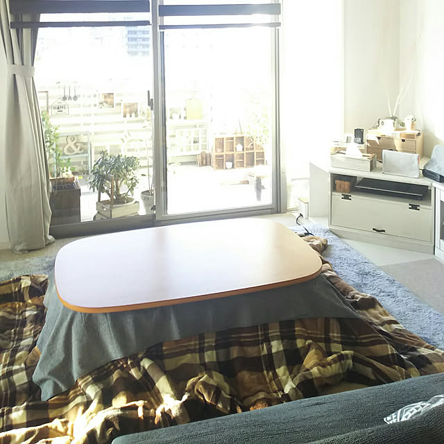 flannel.の-特許取得 ソファーカバー 肘なし 3人掛け ソファーベッド カバー fits 厚手 洗える ゴム 替え 綿 伸びる おしゃれ 北欧 押し込み棒 付き ぴったりフィット リクライニング ストレッチ 伸縮 2way 肘無し 3人 爪とぎ防止 犬猫対策 新生活 送料無料の家具・インテリア写真