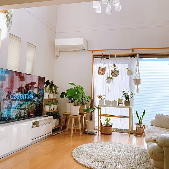 sunabaさんの部屋