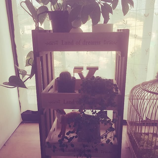 7koさんの実例写真