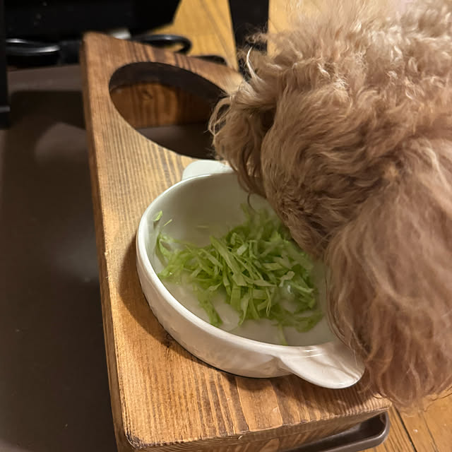 mamizaさんの部屋