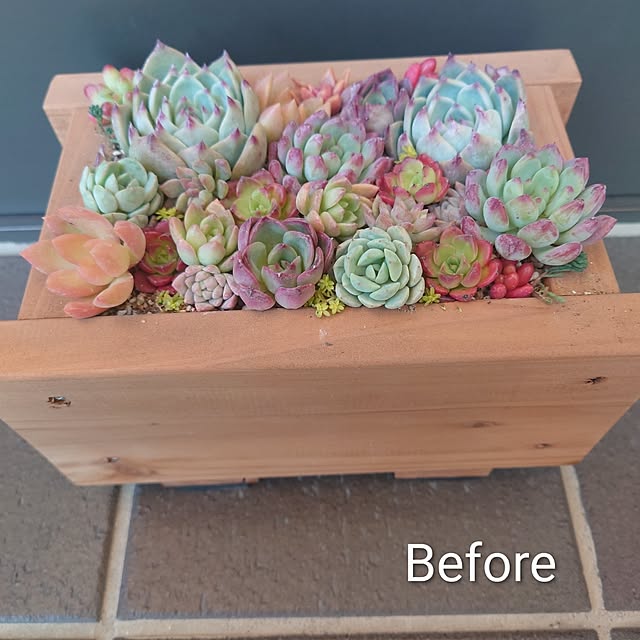 Pikakeさんの部屋