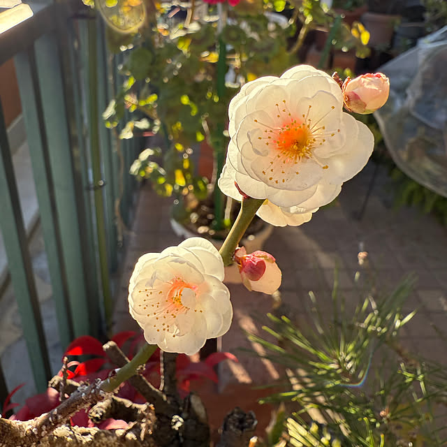 Aqettyさんの部屋