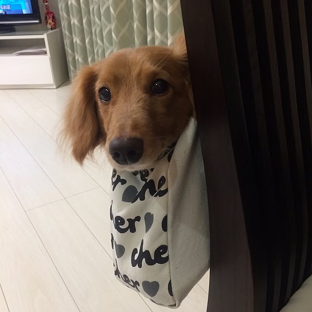 ram_mamaさんの実例写真