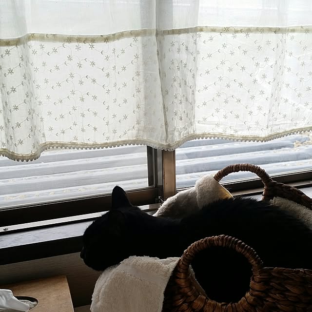 lecielさんの実例写真