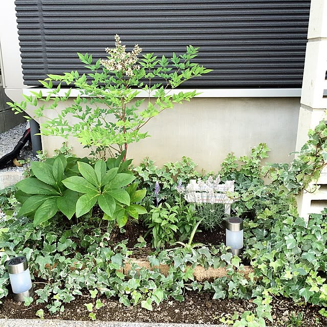 akko-rinさんの実例写真