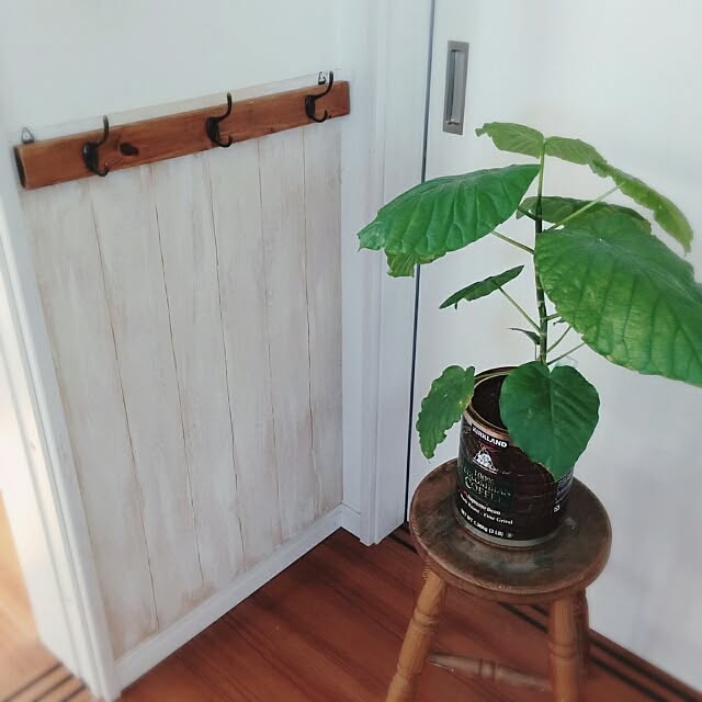 chocolateさんの実例写真