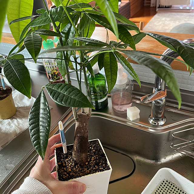 mogumoguさんの実例写真