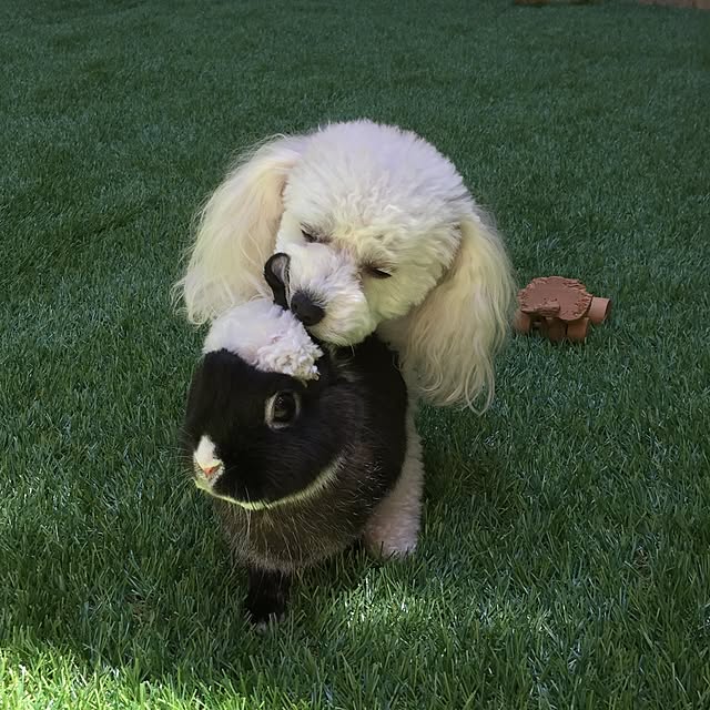 sei.hugさんの実例写真
