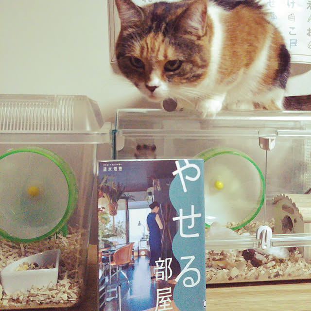 yukieさんの実例写真