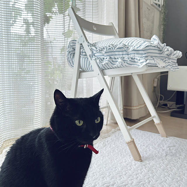 nekomiさんの部屋
